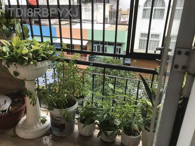 Bán nhà chung cư 43 An Bình Q.5 - Phường 5  -  Quận 5 