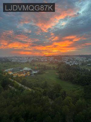 Căn hộ mới, đã có sổ hồng riêng, 1pn+ tại Vinhomes Grand Park - Phường Long Thạnh Mỹ  -  Quận 9 