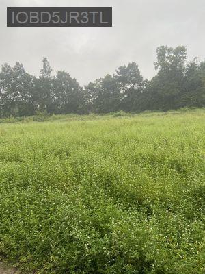 Bán đất trồng cây hàng năm diện tích 893m2,chính chủ,Tình Tây Ninh(LA) - Xã Lộc Giang  -  Huyện Đức Hòa 