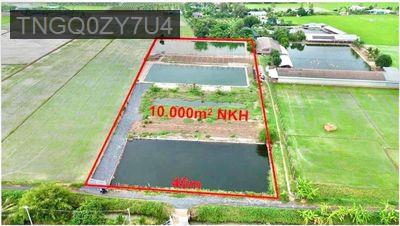 Cần bán 1ha đất nông nghiệp tại Xã Lạc Tấn,Long An (Cũ) - Xã Lạc Tấn  -  Huyện Tân Trụ 