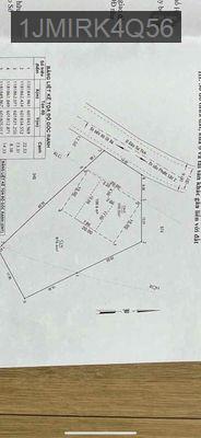 Bán Biệt Thự Vườn MT Đào Sư Tích 1200m2 (400m2 thổ cư) - Xã Phước Lộc  -  Huyện Nhà Bè 