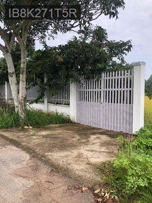 nhà vườn 16.5 x 100 - Xã Thái Mỹ  -  Huyện Củ Chi 