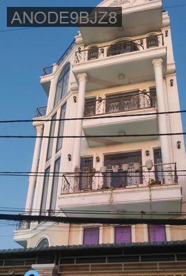 Biệt thự lô góc mặt tiền Lê Tấn Bê P.An Lạc Q.Bình Tân giá 13,5 tỷ - Phường An Lạc  -  Quận Bình Tân 