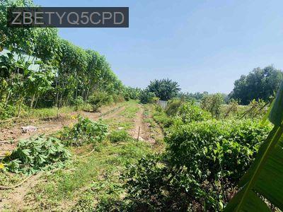 Cần bán gấp  đất tân uyên - Xã Tân Lập  -  Huyện Bắc Tân Uyên 