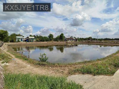 Đất 2,5 hec mặt tiền Lý Nhơn, An T Đông, cách đường Rừng Sác 5km. - Xã An Thới Đông  -  Huyện Cần Giờ 