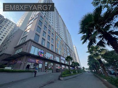 Bán CH Green River Phạm Thế Hiển Q8, dt 60-70m2/ 2PN, nhận nhà ngay - Phường 6  -  Quận 8 