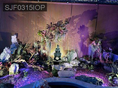 Gia đình cần bán căn nhà - Phường 12  -  Quận Tân Bình 