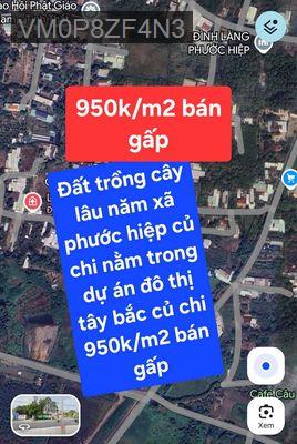 Đất trồng cây lâu năm xã phước hiệp,củ chi 950k/m2 - Xã Phước Hiệp  -  Huyện Củ Chi 