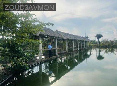 Cần bán gấp lô Đất Cần Giờ- An Thới Đông - Xã An Thới Đông  -  Huyện Cần Giờ 