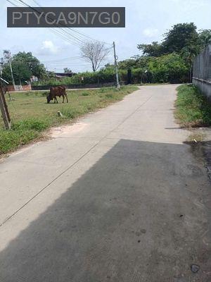 Đất thổ, đường bê tông, Mỹ hạnh nam, 125m giá ngộp - Xã Mỹ Hạnh Nam  -  Huyện Đức Hòa 