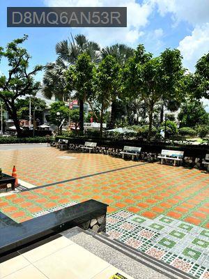 BÁN CĂN HỘ TẦNG TRỆT CHUNG CƯ GIAI VIỆT 150M2 3PN SỔ HỒNG 8TY9 - Phường 5  -  Quận 8 