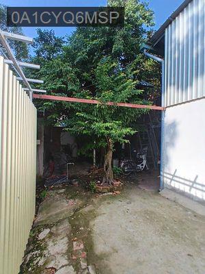 CẦN BÁN DÃY PHÒNG TRỌ (4-6 PHÒNG) - Phường Long Thạnh Mỹ  -  Quận 9 
