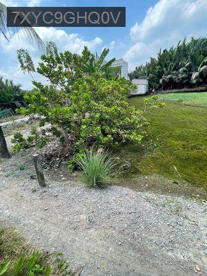 Đất Phước Lộc, Nhà Bè giá 3 tỷ - Xã Phước Lộc  -  Huyện Nhà Bè 