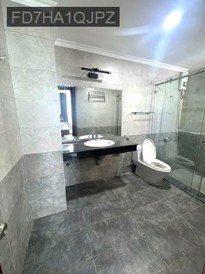 Bán căn hộ Penthouse Giai Việt Hoàng Anh 856 Tạ Quang Bửu, P5,Q8 - Phường 5  -  Quận 8 