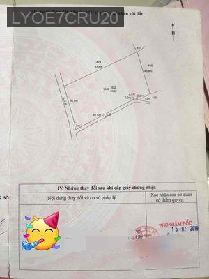 Cần bán đất nông nghiệp, mặt tiền đường Nguyễn Thanh Tâm - Xã Trường Bình  -  Huyện Cần Giuộc 