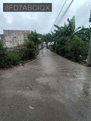 Đất Hốc Môn,Xe Hơi Đậu Cửa, 200m2 full thô cư tặng 100m giấy tay - Xã Tân Hiệp  -  Huyện Hóc Môn 