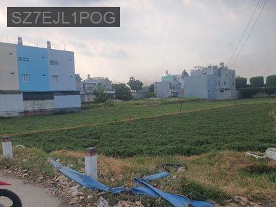 Bán 3800m2 đất mặt tiền Nguyễn Thị Thử - Hóc Môn - Xã Xuân Thới Đông  -  Huyện Hóc Môn 