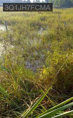 ĐẤT THỔ 480m2 - Gần TL 839- NGANG 10m- ĐỨC HUỆ - Thị trấn Đông Thành  -  Huyện Đức Huệ 