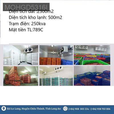 Chuyển nhưỡng QSDĐ và Toàn bộ nhà kho trên đất - Châu Thành - Xã An Lục Long  -  Huyện Châu Thành 