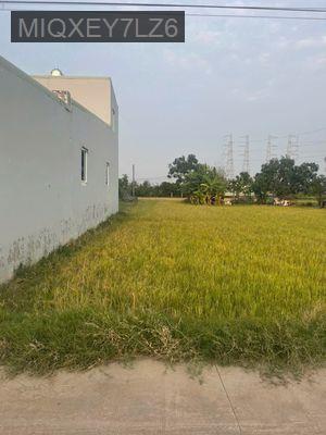 Bán đất - Xã Mỹ Hạnh Nam  -  Huyện Đức Hòa  - 150m² - 1tỷ