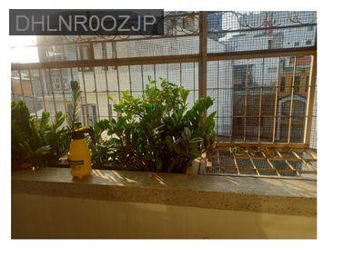 Bán căn hộ 77.6m² chung cư Lê Hồng Phong Phường 2 Quận 5 - Phường 2  -  Quận 5 