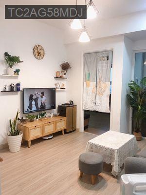 Cần bán căn hộ sổ hồng 2 phòng ngủ dt50m2 giá 2.3 tỷ - Phường Tân Thới Nhất  -  Quận 12 