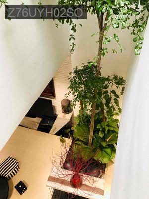 nhà hẻm 80m2,3 phòng ngủ đường đình phong phú q9 cũ - Phường Tăng Nhơn Phú B  -  Quận 9 