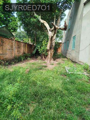 Cần bán đất nền thổ cư bình dương - Phường Bình Hòa  -  Thị xã Thuận An 