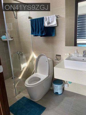 Căn hộ Mizuki Park căn góc - Xã Bình Hưng  -  Huyện Bình Chánh 