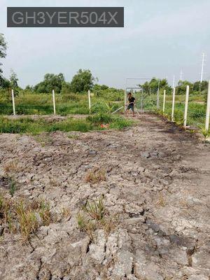 Bán đất vườn 4.603m² tại xã Tân Hiệp, Hóc Môn. Giá siêu tốt - Xã Tân Hiệp  -  Huyện Hóc Môn 