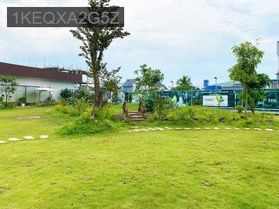 Siêu phẩm đầu tư Shophouse sát chợ Bình Chánh chỉ 19 triệu/m² sử dụng - Xã Bình Chánh  -  Huyện Bình Chánh 