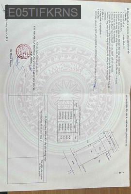 CHỦ NGỘP BANK - CẮT LỖ THỰC  3 ty - BÁN GẤP TRƯỚC TẾT - Xã Phạm Văn Cội  -  Huyện Củ Chi 