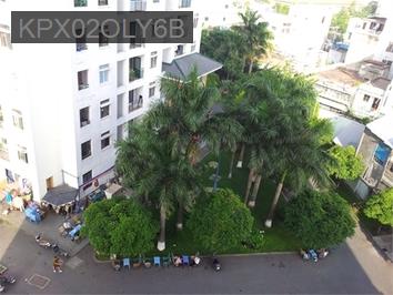 bán gấp chcc 312 lạc long quân, dt 66m2, 2pn+2wc, giá 2,98 tỷ đã có sổ - Phường 5  -  Quận 11 