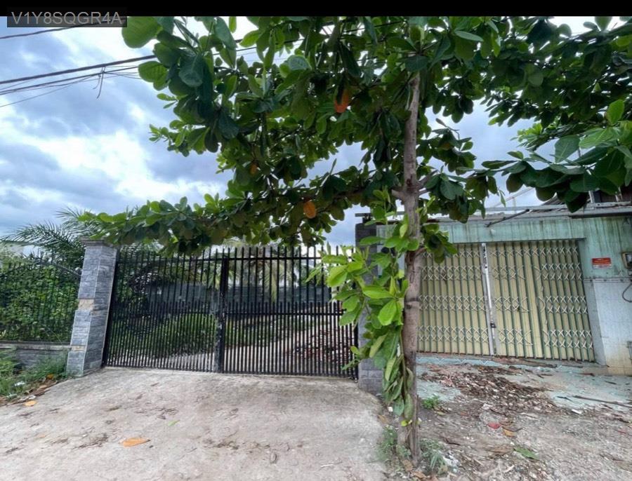 Bán đất - Xã Bình Mỹ  -  Huyện Củ Chi  - 1050m² - 18tỷ - (ảnh - 0)