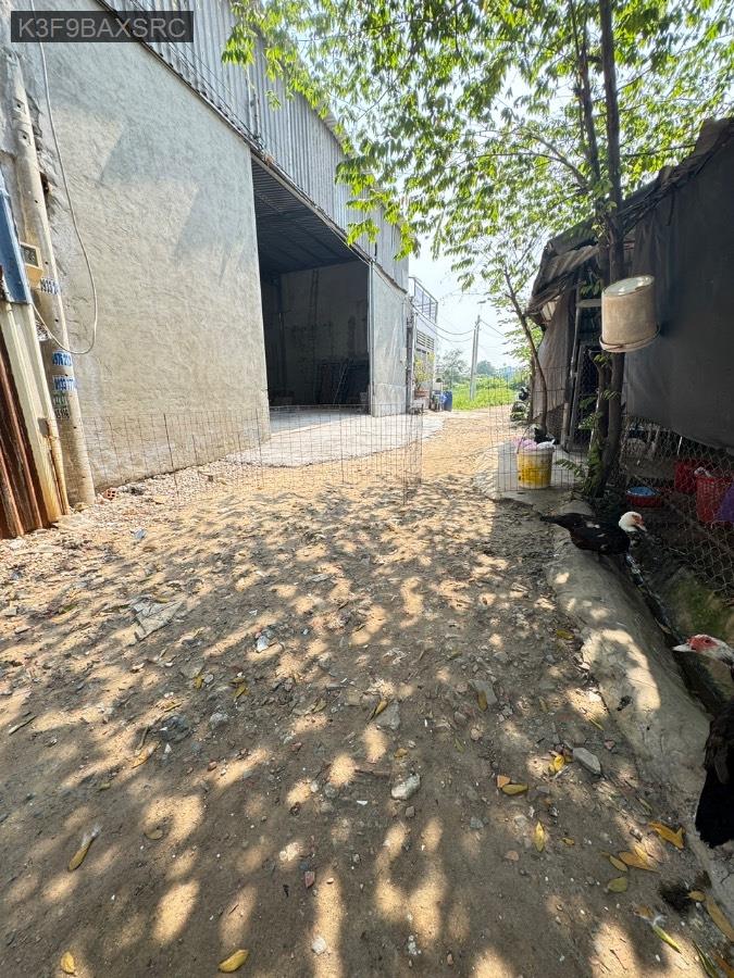 Bán nhà - Xã Vĩnh Lộc B  -  Huyện Bình Chánh  - 80m² - 2.6tỷ - (ảnh - 7)