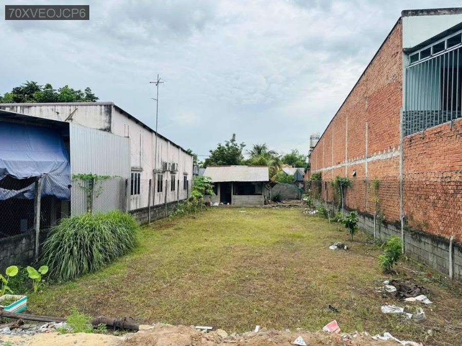 Bán đất - Xã Tân Phú Trung  -  Huyện Củ Chi  - 350m² - 6.5tỷ - (ảnh - 3)