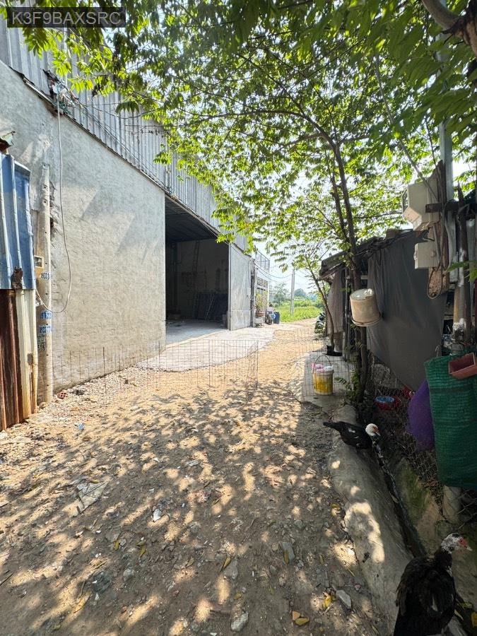 Bán nhà - Xã Vĩnh Lộc B  -  Huyện Bình Chánh  - 80m² - 2.6tỷ - (ảnh - 6)