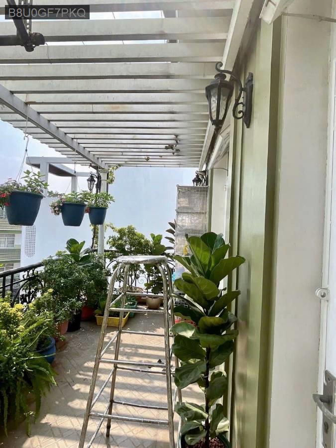 BÁN BIỆT THỰ SÂN VƯỜN 165M2 ( 10,3x16) - MTKD LÊ VĂN QƯỚI GIÁP TÂN PHÚ 20TY  - Phường Bình Hưng Hòa A  -  Quận Bình Tân  - (ảnh - 6)