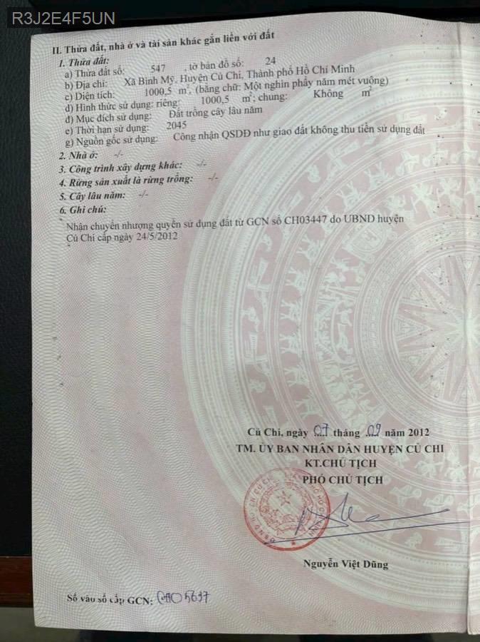 BÁN KHO XƯỞNG,1000M2,THỔ 740M2, XÃ BÌNH MỸ CỦ CHI TPHCM, 18Ty TL  - Xã Bình Mỹ  -  Huyện Củ Chi  - (ảnh - 2)