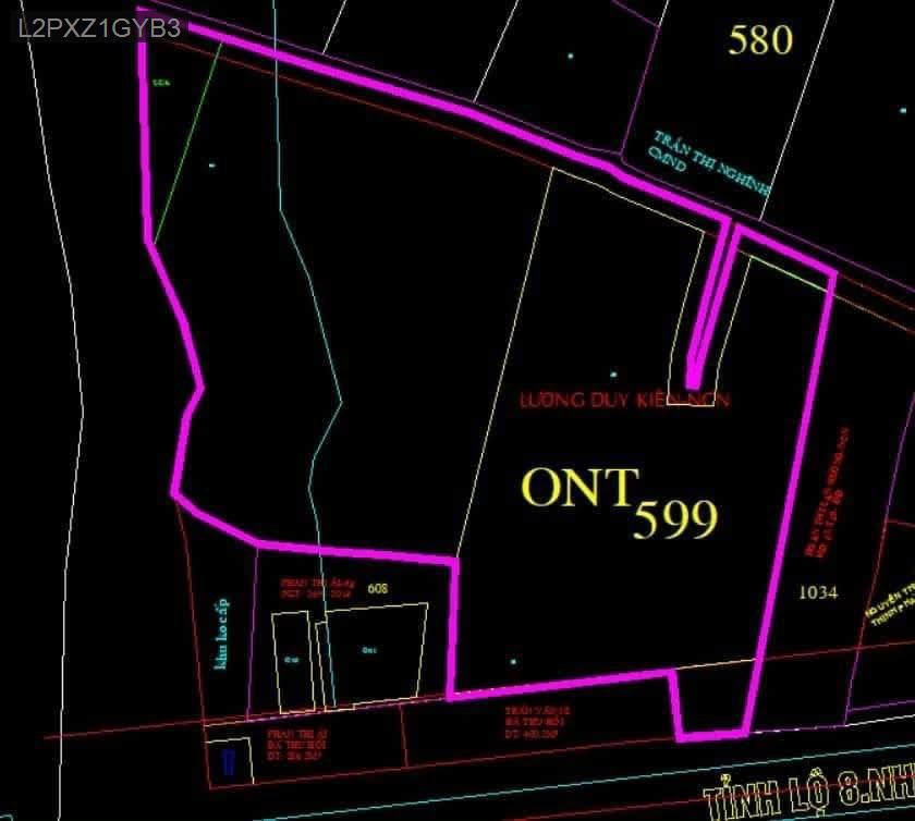 Bán lô đất mặt tiền Tỉnh Lộ 8, thuận tiện cho khách làm công ty kho xưởng - Xã Tân Thạnh Tây  -  Huyện Củ Chi  - (ảnh - 1)