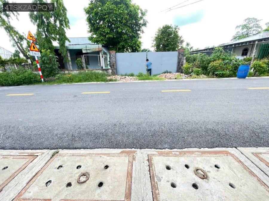 Bán đất mặt tiền đường Phạm Thị Hào cách Tỉnh Lộ 8 là 200m thông thoáng. Giá 6.2tỷ còn bớt - Xã Tân Thạnh Tây  -  Huyện Củ Chi  - (ảnh - 2)
