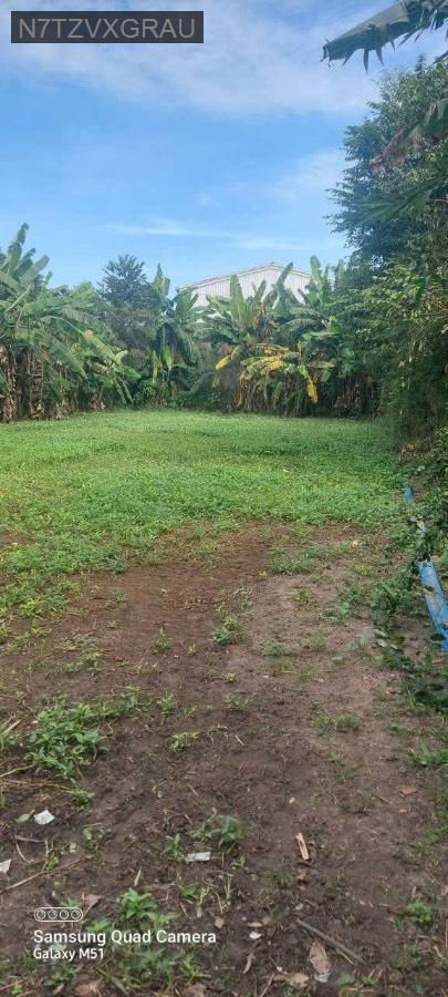 Bán lô đất mặt tiền đường nhựa Xã Trung An, diện tích 14x75. Giá 9.5tỷ còn TL - Xã Trung An  -  Huyện Củ Chi  - (ảnh - 2)