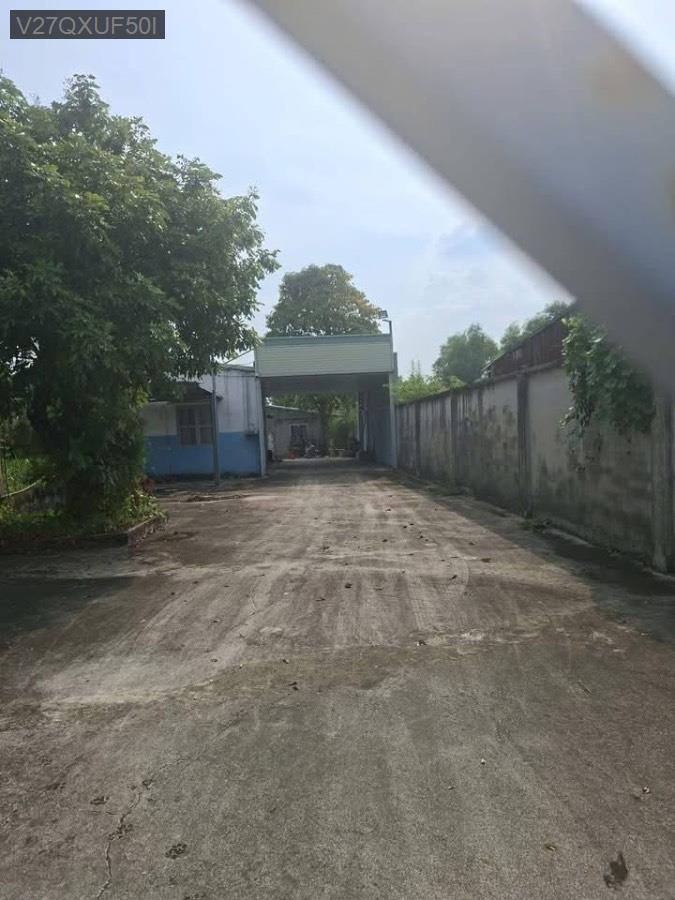 Bán nhà vườn Tân An Hội, diện tích 1066m² thổ cư 250m². Đường xe hơi - Giá 5tỷ3 - Xã Tân An Hội  -  Huyện Củ Chi  - (ảnh - 2)