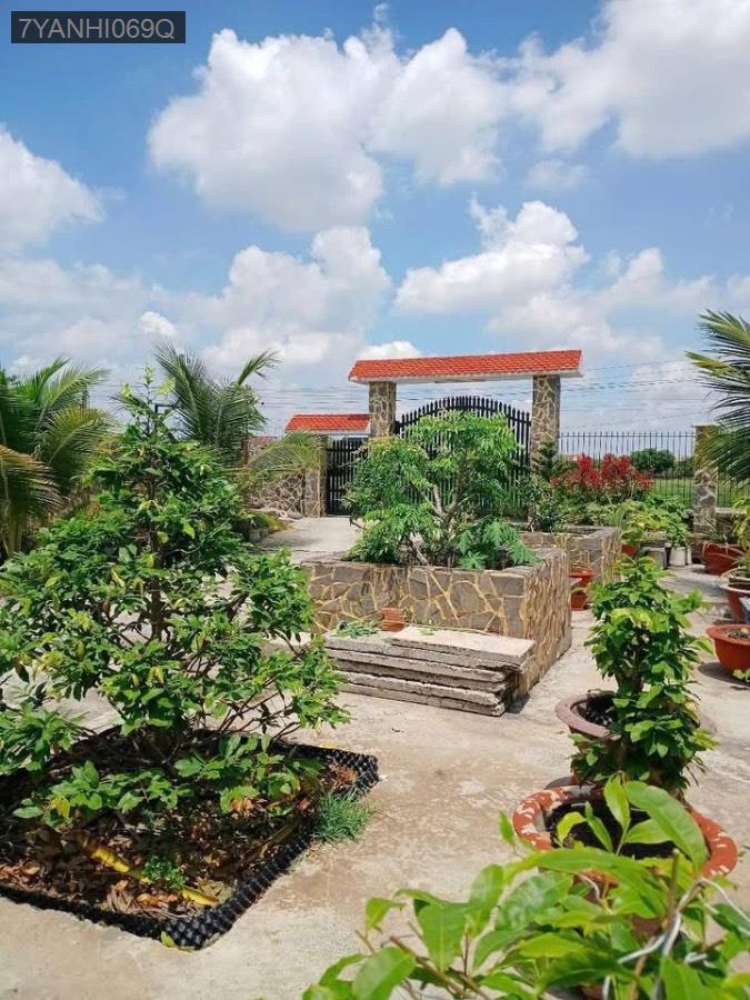 Bán nhà vườn Thị Trấn Hậu Nghĩa, SHR 18x48.5 có 200m² thổ cư. Đường ô tô chạy - Thị trấn Hậu Nghĩa  -  Huyện Đức Hòa  - (ảnh - 1)