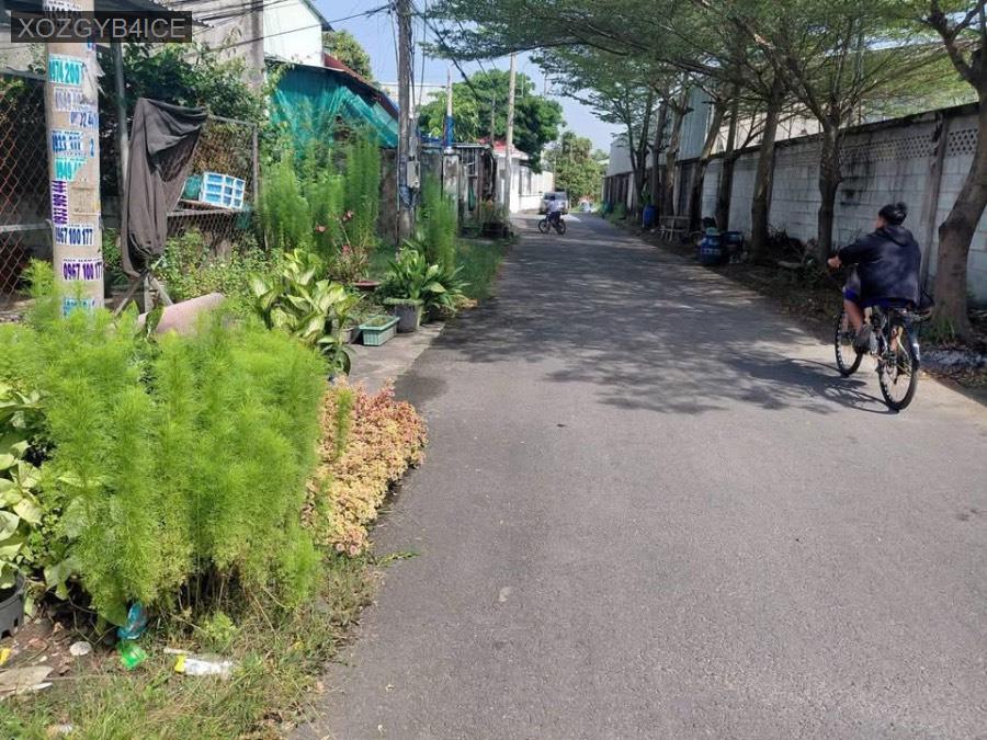 Bán nhà cấp 4 mặt tiền đường nhựa sát bên Nguyễn Thị Lắng, gần trường học. Giá 2tỷ650triệu - Xã Phước Vĩnh An  -  Huyện Củ Chi  - (ảnh - 2)