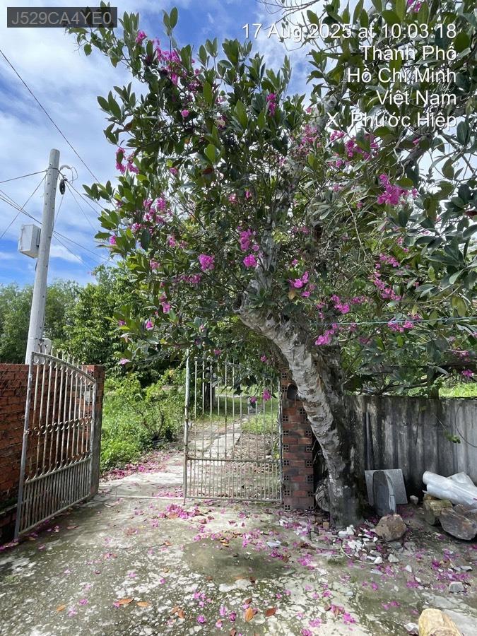 Bán nhà mặt tiền kênh, nhà diện tích rộng, gần kênh có thể trồng thêm cây, chăn nuôi gà vịt,… - Xã Phước Hiệp  -  Huyện Củ Chi  - (ảnh - 1)