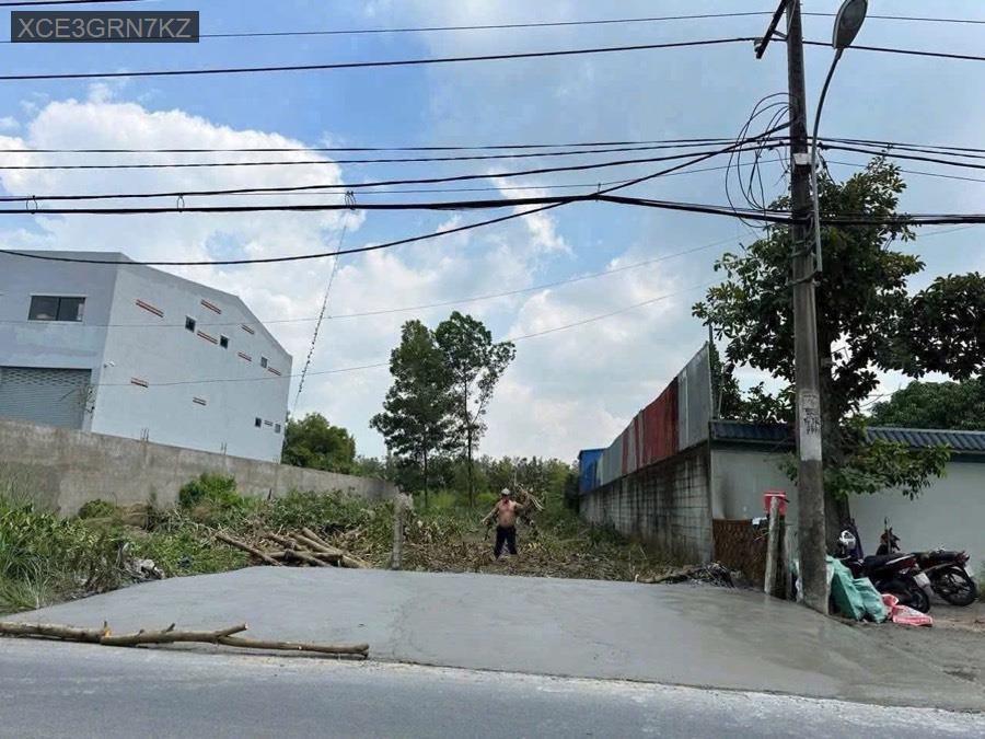 Bán đất mặt tiền đường Thanh Niên, đường xe container, gần chợ - trường học. Thích hợp đầu tư sinh  - Xã Vĩnh Lộc B  -  Huyện Bình Chánh  - (ảnh - 3)