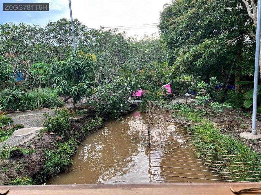 Bán nhà vườn 2 mặt tiền giáp sông Sài Gòn, diện tích 35m x 115m vuông vức, tổng diện tích 3780m². - Xã An Nhơn Tây  -  Huyện Củ Chi  - (ảnh - 4)