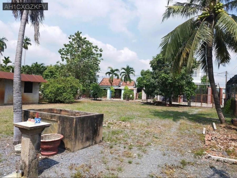Bán nhà vườn Sổ Hồng Riêng 1000m² - thổ cư 300m², đường 6m. Giá 8tỷ7 - Xã Tân Hiệp  -  Huyện Hóc Môn  - (ảnh - 3)