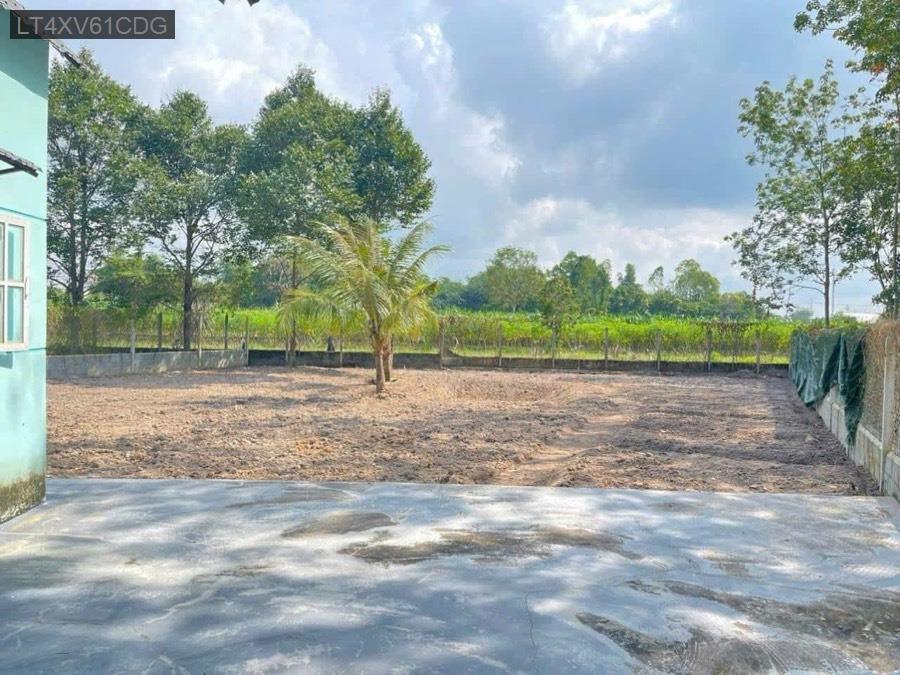 Bán nhà vườn Thái Mỹ gần trường học - uỷ ban. Giá 3tỷ TL - Xã Thái Mỹ  -  Huyện Củ Chi  - (ảnh - 4)